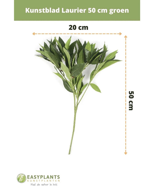 Künstliches Lorbeerblatt, 50 cm, grünes Kunstblumendekor, 50 cm hoch und 20 cm breit, auf weißem Hintergrund mit Abmessungen dargestellt. Perfekt für jedes Interieur. Easyplants-Logo unten.
