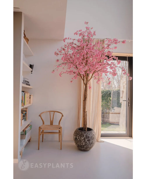 Der künstliche Kirschblüten-Rosabaum 240 cm mit rosa Blüten steht in der Nähe eines Fensters in einem hellen, modernen Raum. In der Nähe steht ein Holzstuhl, links stehen Bücherregale und durch die durchsichtigen Vorhänge fällt Sonnenlicht.