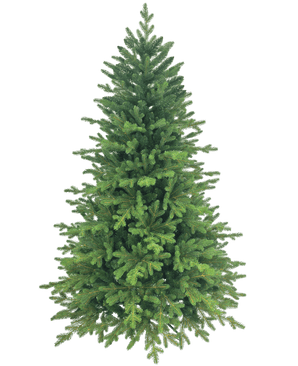 Der künstliche Weihnachtsbaum „Ibsen“ PE/PVC ist voll und grün mit dichten Zweigen vor einem schlichten weißen Hintergrund, bereit für Ihre Lieblings-Weihnachtsdekoration.