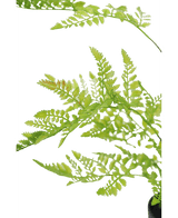 Künstliche Farnpflanze 85 cm