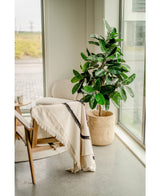Künstliche Gummipflanze 150 cm