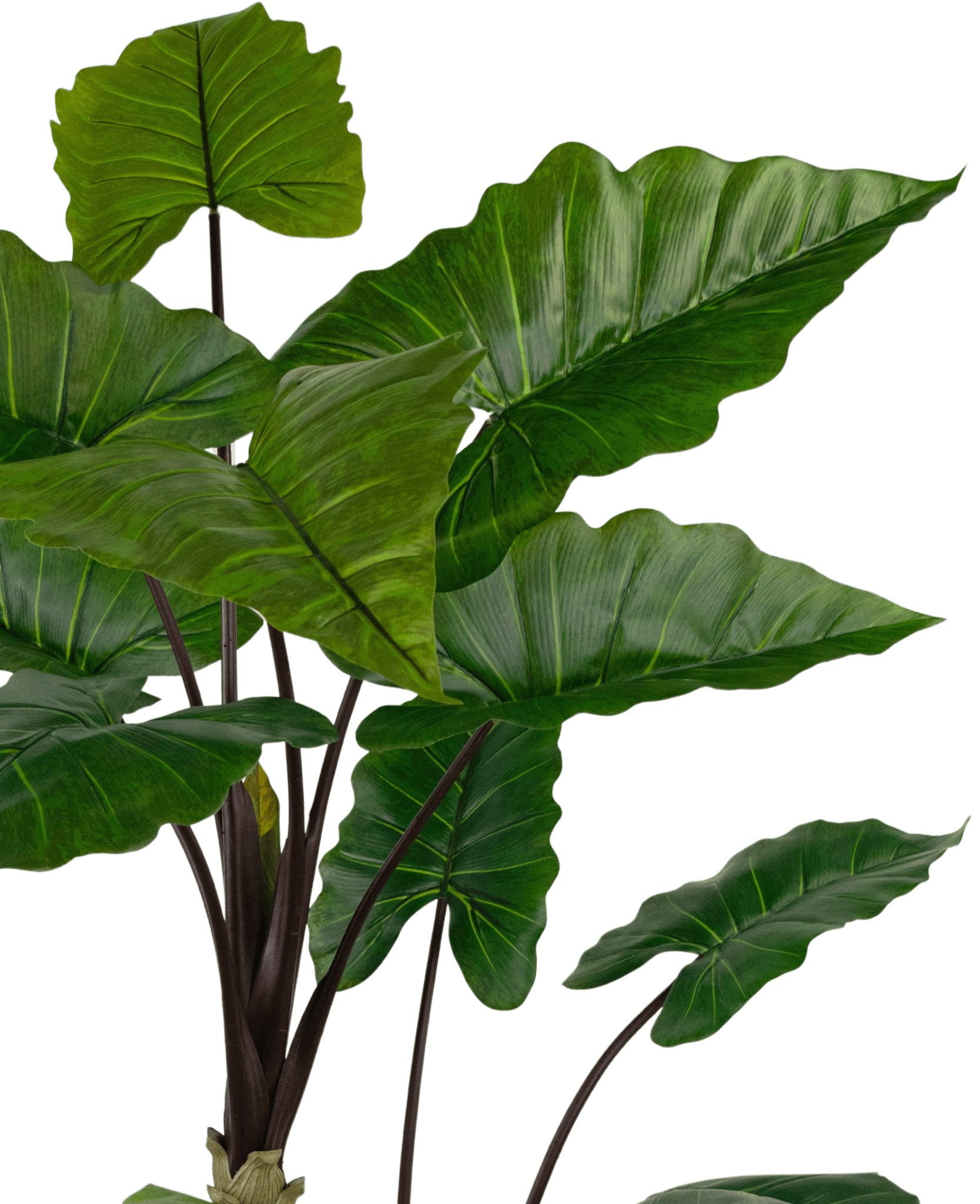 Künstliche Pflanze Alocasia 180 cm