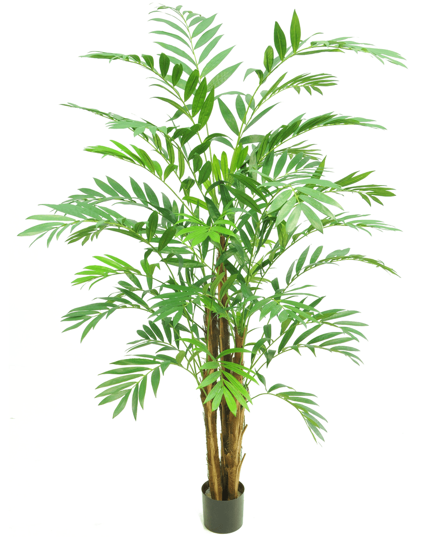 Künstliche Pflanze Hawaii Parlour 180 cm