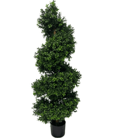 Künstlicher Buchsbaum Spirale Römischer Stil UV 120cm