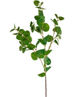 Künstlicher Zweig Eukalyptus Classic 70 cm grün