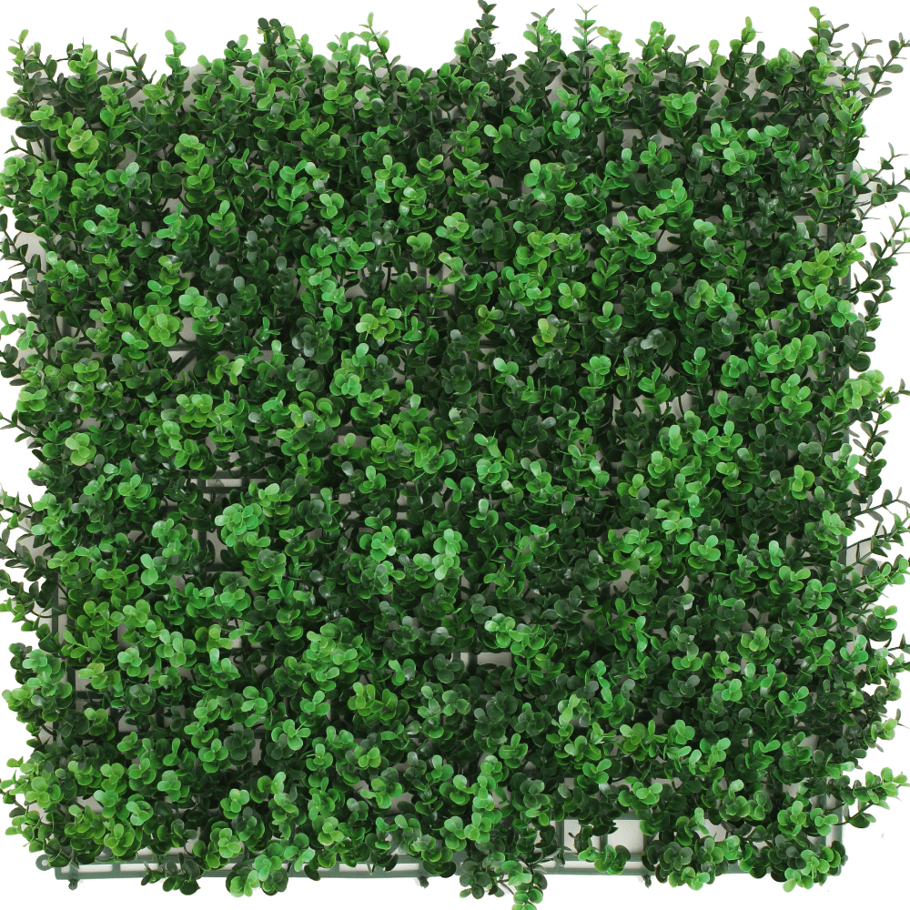 Kunstpflanzen Wand Buxus grün 50x50 cm UV