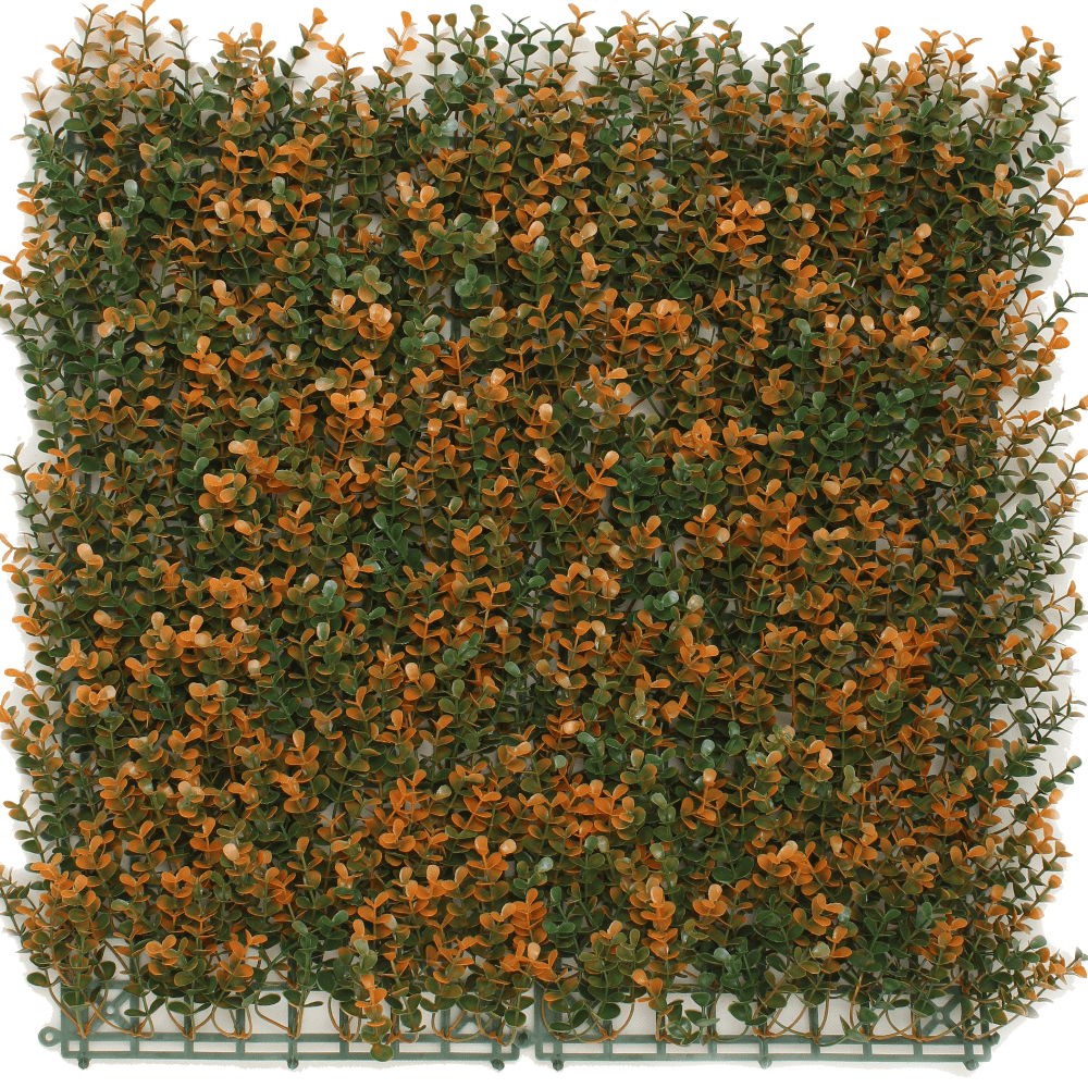 Kunstpflanzen Wand Buxus orange 50x50 cm UV