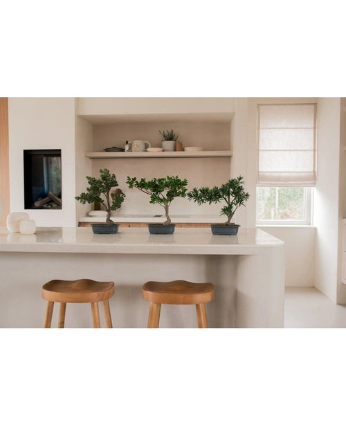Drei 40 cm große künstliche Bonsai-Wacholderpflanzen in schwarzen Töpfen stehen auf einer weißen Kücheninsel, dahinter Holzhocker und offene Regale mit Geschirr und Pflanzen. Ein Fenster mit beigem Farbton erfüllt den Raum mit natürlichem Licht.