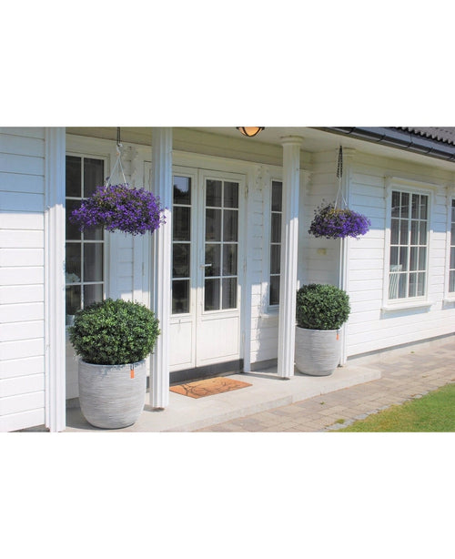 Ein weißes Haus mit doppelten Glastüren, zwei künstlichen Buchsbäumen auf Stiel im römischen UV-Stil (85 cm) auf beiden Seiten des Eingangs und zwei Hängekörben mit violetten Blumen über jedem Busch. Vor den Türen liegt eine Fußmatte.