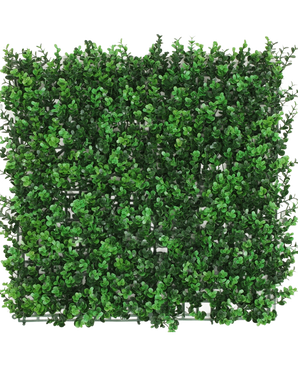 Die künstliche Buchsbaumhecke grün 50x50 cm UV ist eine quadratische Platte mit dichten künstlichen grünen Buchsbaumblättern, die von oben gesehen vor einem weißen Hintergrund eine üppige Hecke bilden.