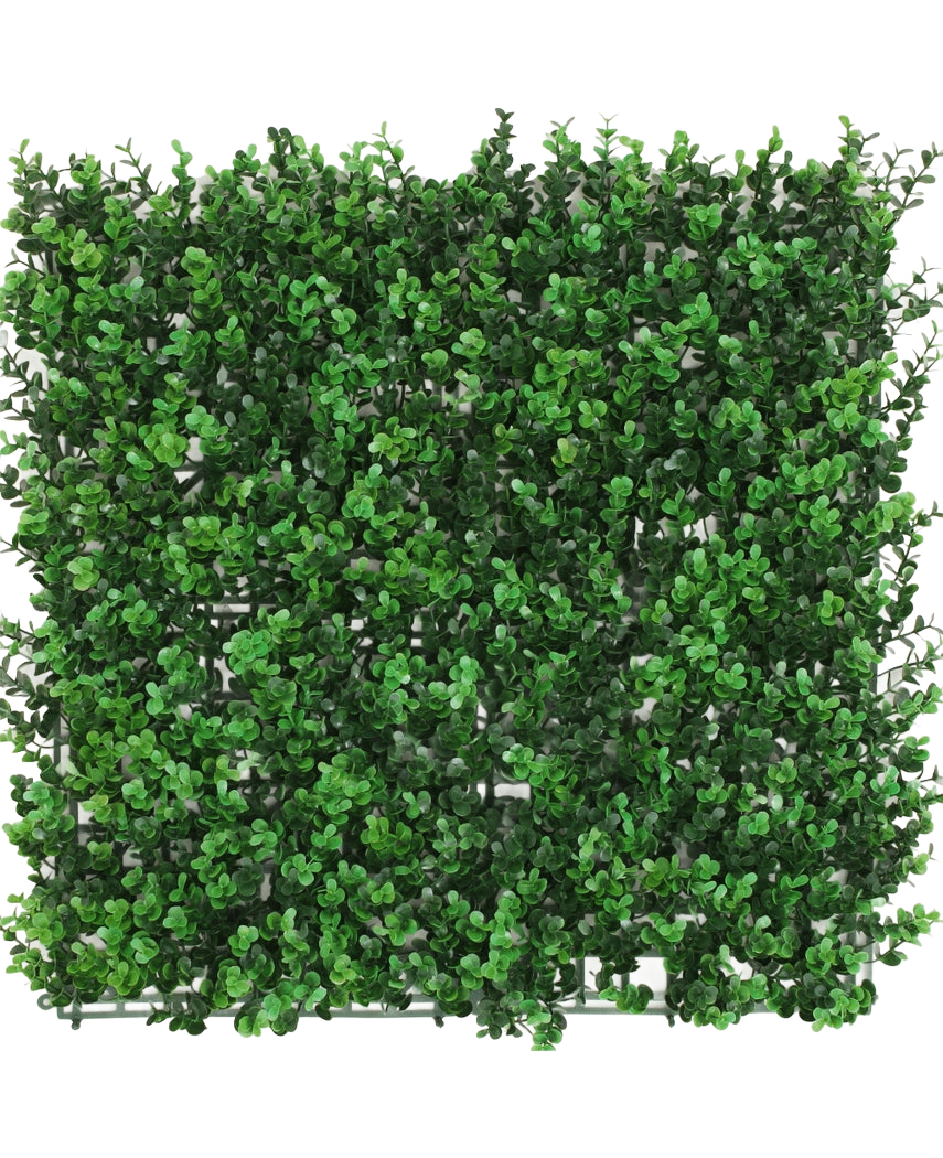 Die künstliche Buchsbaumhecke grün 50x50 cm UV ist eine quadratische Platte mit dichten künstlichen grünen Buchsbaumblättern, die von oben gesehen vor einem weißen Hintergrund eine üppige Hecke bilden.