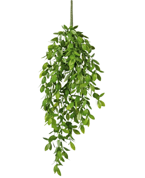 Die künstliche Hängepflanze Gardenia 61 cm ist eine künstliche Hängepflanze mit üppigen, grünen Blättern und einem einzelnen sichtbaren Stiel vor einem schlichten weißen Hintergrund.