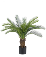 Die künstliche Cycaspalme 80 cm hat einen langen, gebogenen grünen Palmfarn und einen dicken, strukturierten Stamm. Die Pflanze steht in einem einfachen schwarzen Topf vor einem schlichten weißen Hintergrund.