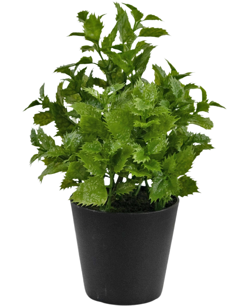 Künstliche Pflanze Perilla 25 cm: Eine leuchtend grüne Blattpflanze mit gezackten Rändern in einem einfachen schwarzen Topf, perfekt, um jedem Raum einen Hauch von Natur zu verleihen.