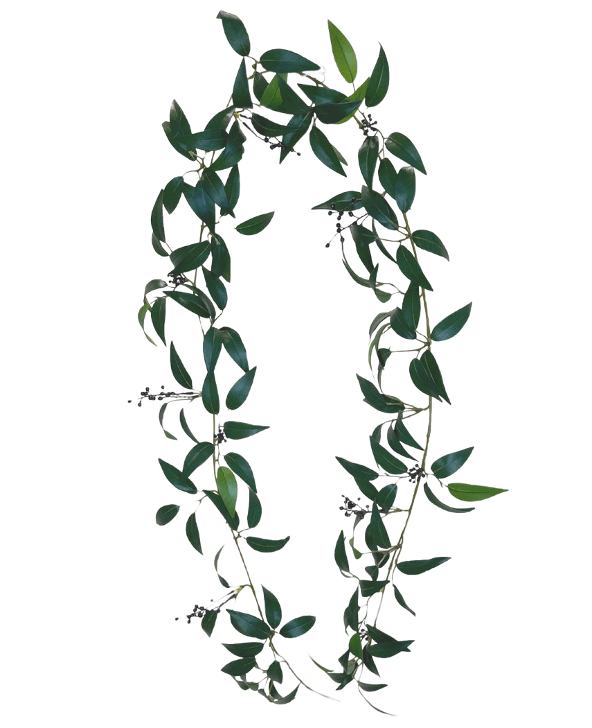 Die künstliche Smilax-Girlande 180 cm ist ein Kranz in Form des Buchstabens O, bestehend aus langen grünen Blattzweigen mit kleinen Büscheln dunkler Beeren vor einem schlichten weißen Hintergrund.