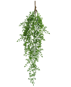 Die künstliche Hängepflanze Senecio 76 cm hat einen einzelnen Zweig künstlichen Grüns mit kleinen, büschelförmigen grünen Blättern, die elegant nach unten hängen und sich vor einem schlichten weißen Hintergrund abheben.