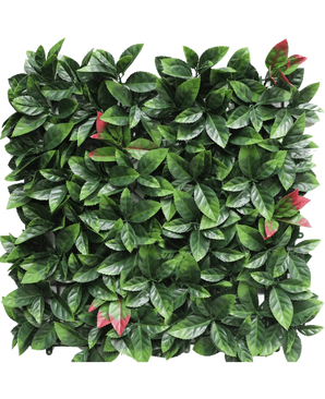 Die künstliche Hecke Photonia rot 50x50 cm UV ist ein quadratisches künstliches Heckenpaneel mit dichten grünen Blättern mit vereinzelten rot getönten Büscheln, die alle auf einem weißen Hintergrund präsentiert werden.