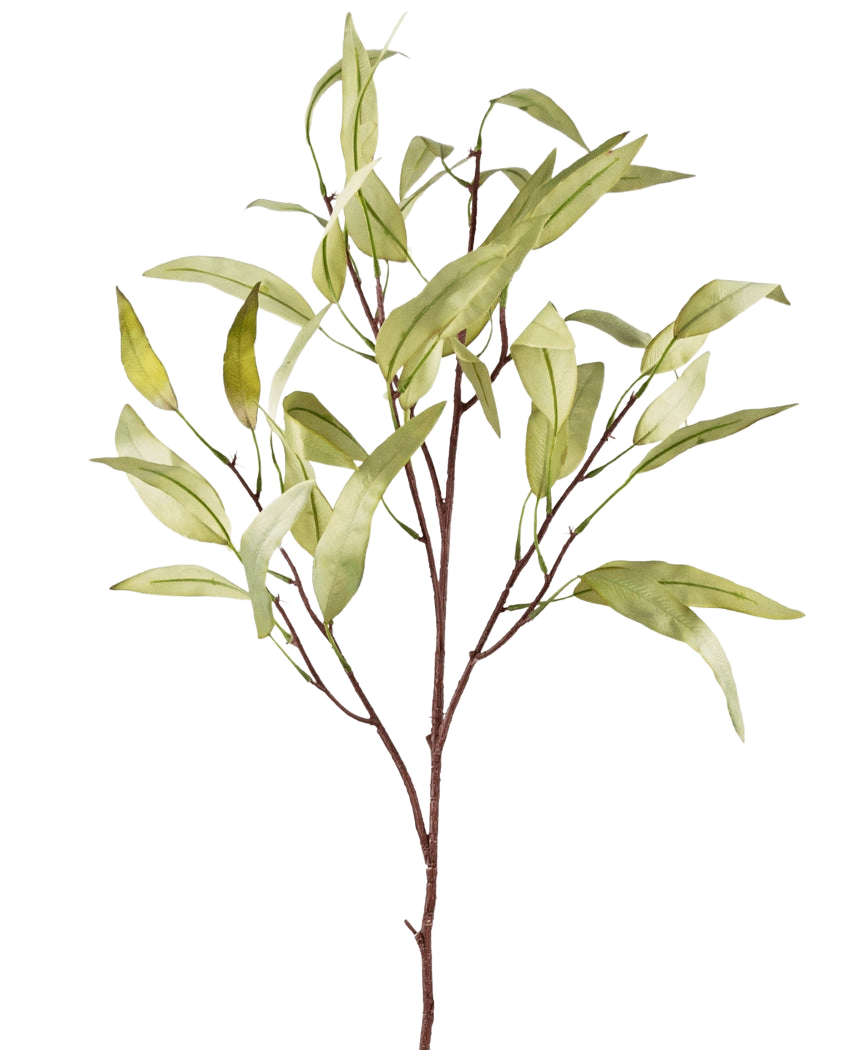 Der künstliche Zweig Eucalyptus Niphophila 108 cm grün hat einen einzelnen braunen Stamm mit mehreren dünnen Zweigen, die jeweils mit länglichen, hellgrünen Blättern verziert sind, vor einem schlichten weißen Hintergrund.