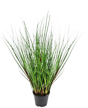 Die feuerhemmende Kunstrasenpflanze Zwiebel 50 cm hat lange, dünne, grüne, grasähnliche Blätter, die aufrecht wachsen und sich von der Mitte nach außen krümmen, präsentiert in einem schwarzen Plastiktopf vor einem weißen Hintergrund.