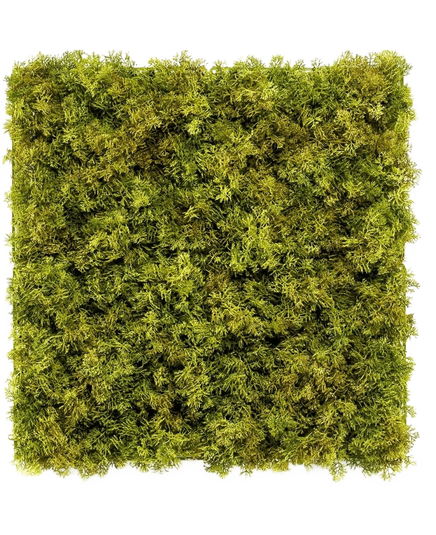 Die künstliche Hecke Nordic Moss 50x50 cm UV ist eine quadratische Platte, die dicht mit üppigem grünem Moos auf weißem Hintergrund bedeckt ist und einen strukturierten, natürlichen Look erzeugt, der sich perfekt für schicke Innenräume eignet.
