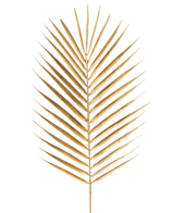 Der künstliche Astfarn 64 cm gold hat ein einzelnes goldenes Palmenblatt mit langen, schlanken Blättern auf einem schlichten weißen Hintergrund.