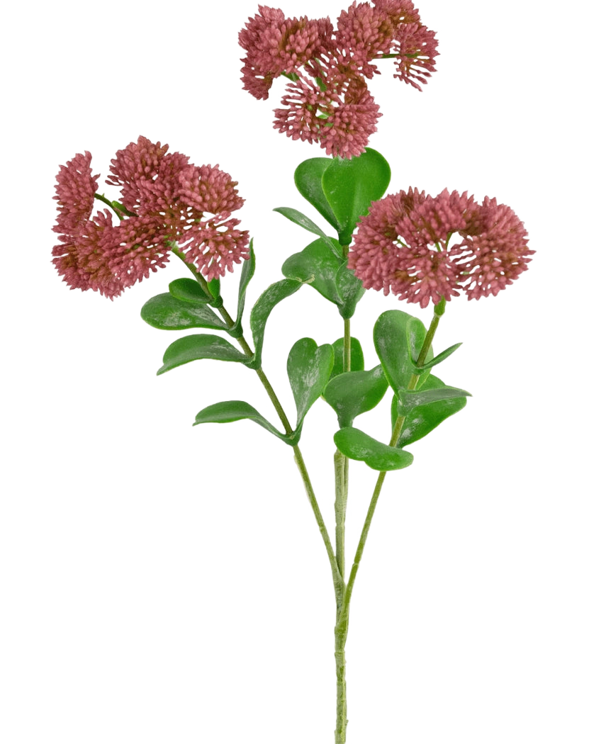 Ein künstlicher Sedumzweig, 56 cm, rosa mit grünen Blättern und Büscheln kleiner, runder, zarter rosaroter Blüten vor einem weißen Hintergrund.