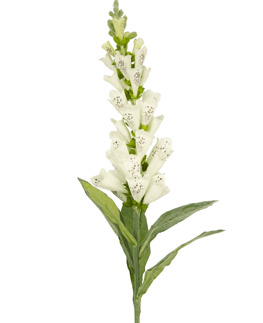 Der Kunstblumen-Fingerhut 90 cm weiß hat grüne Blätter und weiße, gefleckte Röhrenblüten – ideal für luxuriöse Dekoration oder als auffälliger Akzent in einem Kunstblumenstrauß.