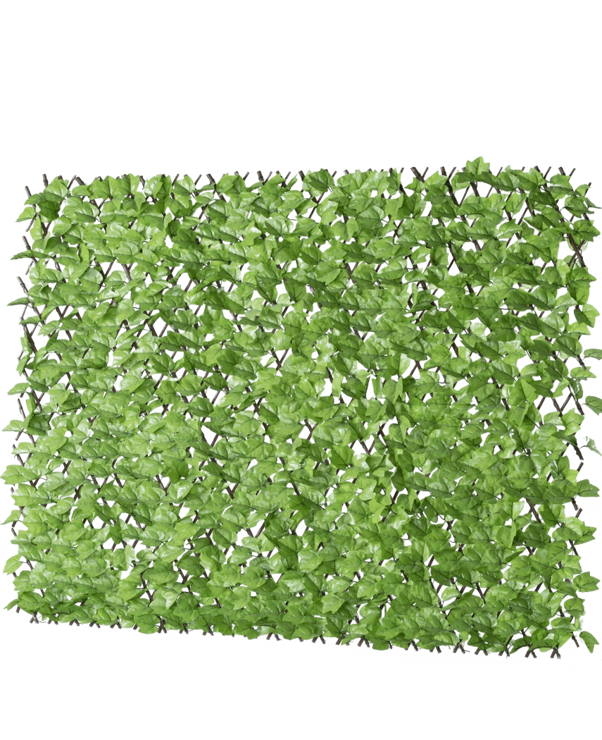 Die ausziehbare künstliche Efeu-Hecke 200 x 100 cm ist eine rechteckige, künstliche grüne Blattplatte auf einem Gitter, die einer grünen Hecke oder einem Sichtschutz ähnelt und vor einem weißen Hintergrund dargestellt wird.