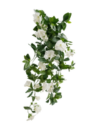 Die künstliche Hängepflanze Petunia 70 cm weiß hat grüne Blätter und weiße trompetenförmige Blüten in einem weinartigen Design vor einem schlichten weißen Hintergrund.