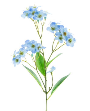 Vor einem schlichten weißen Hintergrund steht eine künstliche Blumenorchidee „Real Touch Blue“ 50 cm mit Büscheln zarter hellblauer Blüten und einigen grünen Blättern.