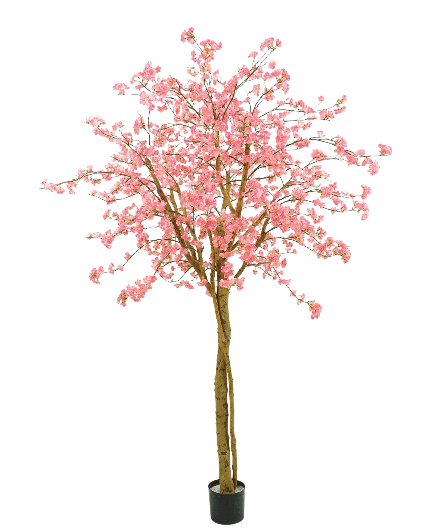 Der künstliche Kirschblüten-Rosabaum 240 cm hat rosa Blüten, braune Zweige und einen schwarzen Topf vor einem schlichten weißen Hintergrund.
