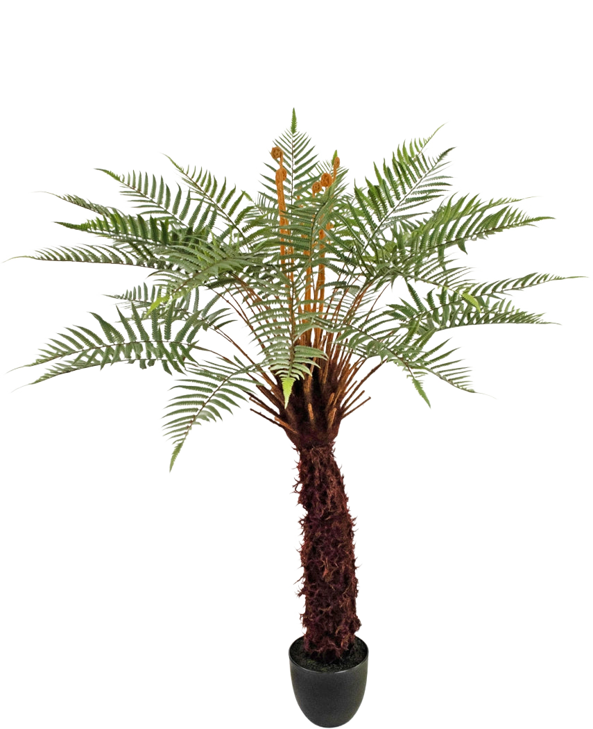 Die Kunstpflanze Dicksonia 127 cm ist ein hoher Farn in einem Topf mit einem braunen, strukturierten Stamm und langen, gebogenen grünen Blättern vor einem weißen Hintergrund.