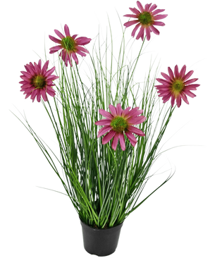 Die feuerhemmende Kunstrasenpflanze Chrysantheme 60 cm hat lange, dünne grüne grasähnliche Blätter und sechs rosa Chrysanthemenblüten mit einem gelben Herzen in einem schwarzen Topf vor einem schlichten weißen Hintergrund.