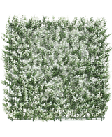 Die künstliche Buchsbaumhecke weiß 50x50 cm UV ist eine quadratische künstliche Buchsbaumplatte mit kleinen Blättern mit weißen Spitzen auf einem Kunststoffgitter, dargestellt auf einem weißen Hintergrund.