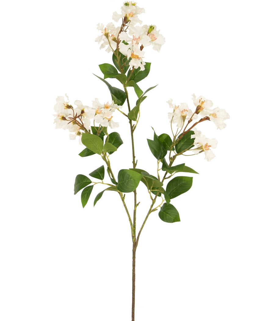 Die künstliche Blume Lagerstroemia 92 cm weiß hat einen hohen Stiel mit Büscheln kleiner weißer Blüten und grüner Blätter, perfekt, um jedem Raum dauerhafte Schönheit zu verleihen. Ideal als auffällige Kunstpflanze vor einem schlichten weißen Hintergrund.