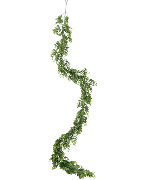 Die künstliche Schlingpflanze Pumila 182 cm hat eine lange, gewundene grüne Ranke mit kleinen Blättern, die vertikal vor einem schlichten weißen Hintergrund hängt.