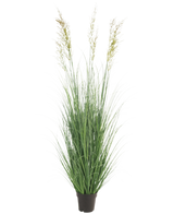 Die feuerhemmende Kunstrasenpflanze Weizen 180 cm hat lange, schlanke grüne Halme und drei spitzenförmige Samenköpfe in einem kleinen schwarzen Topf – ideal für einen Luxusgarten, völlig wartungsfrei und feuerhemmend. Wird vor einem schlichten weißen Hintergrund angezeigt.