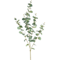 Eukalyptus Künstlich