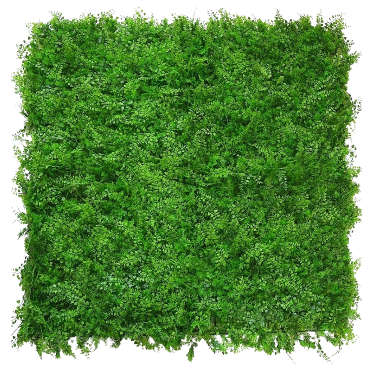 Künstliche Hecke Farn