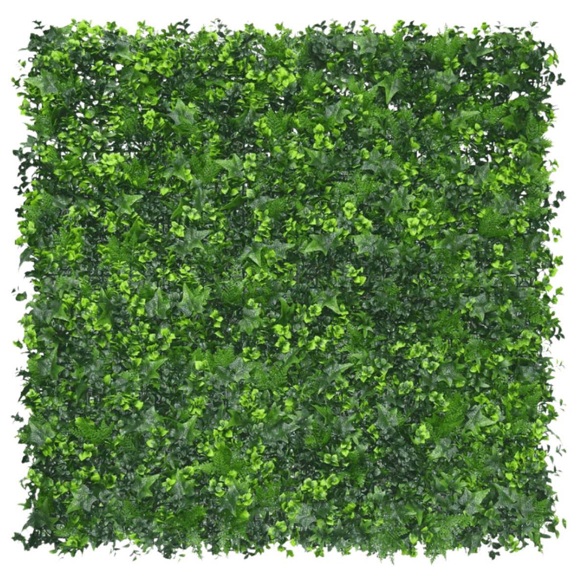 Künstliche Hecke Efeu