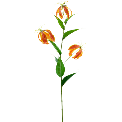 Kunst Gloriosa