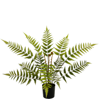 Künstliche Farne