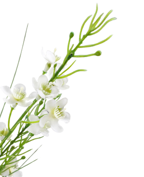 Kunstrasen Hirse Zwiebelgras Bonsai 120cm feuerhemmend