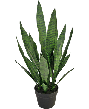 Kunstpflanze Sansevieria Zeylanica 71 cm
