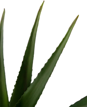 Künstliche Pflanze Aloe Vera 45 cm