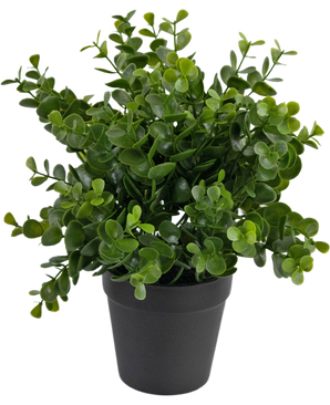 Künstliche Pflanze Pumila 25 cm