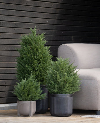Die künstlichen Koniferen UV 40 cm werden auf einer Holzterrasse neben einem hellgrauen Outdoor-Sofa an einer modernen Wand mit dunklen Holzpaneelen platziert.