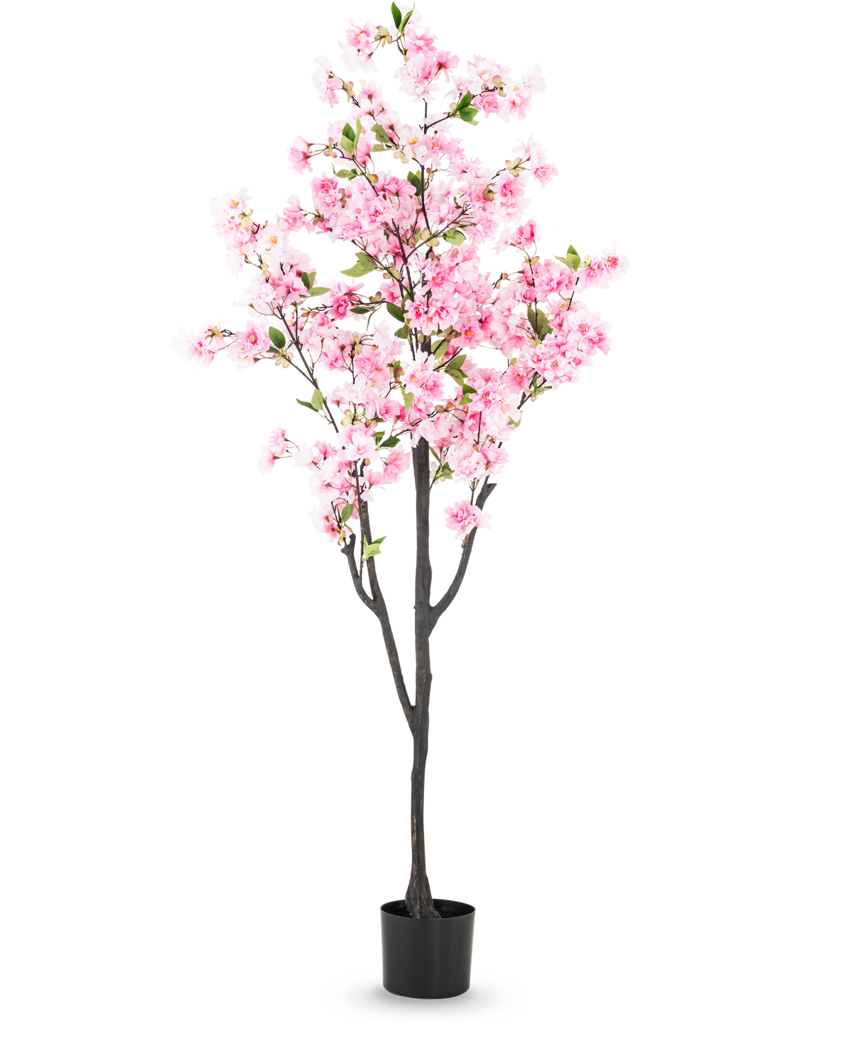 Die künstliche Kirschblüte 180 cm rosa hat rosa Blüten und grüne Blätter in einem kleinen schwarzen Topf vor einem schlichten weißen Hintergrund.