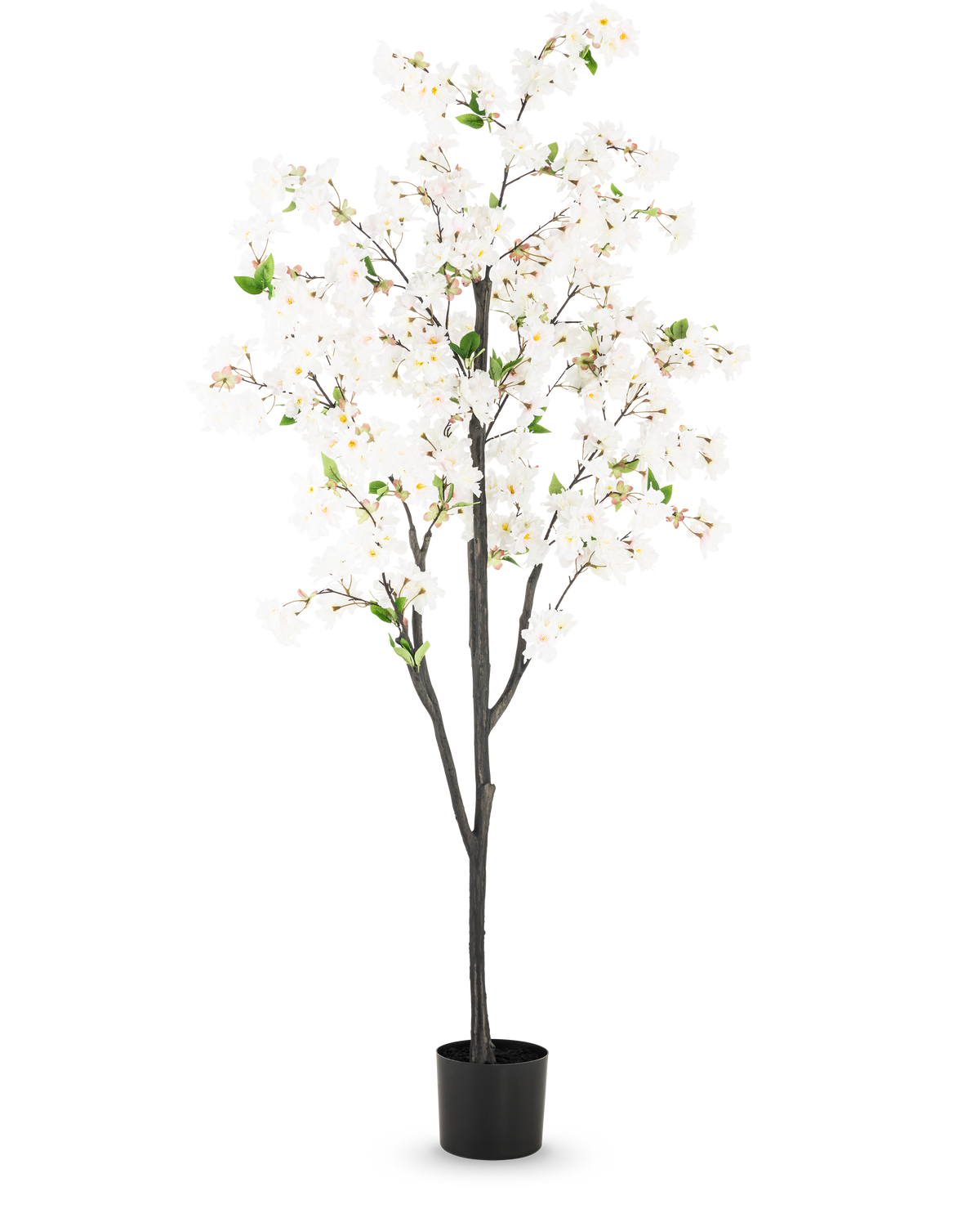 Die künstliche Kirschblüte 180 cm weiß ist ein hoher Kunstbaum mit mehreren dunkelbraunen Zweigen, weißen Blüten und grünen Blättern in einem schlichten schwarzen Topf vor einem schlichten weißen Hintergrund.