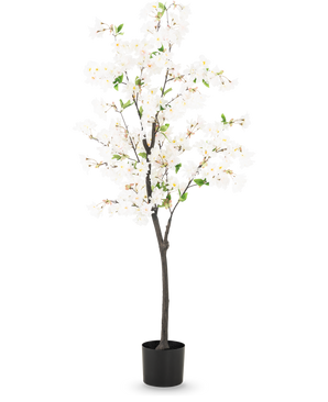 De Kunst Kersenbloesem 150 cm wit is een hoge kunstkersenboom met delicate witte bloemen en kleine groene blaadjes in een eenvoudige zwarte pot, afgebeeld tegen een effen lichte achtergrond.